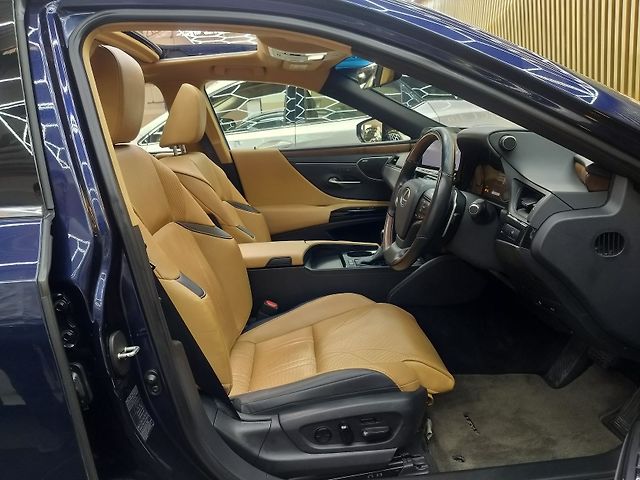 Used Lexus ES 300h Luxury in Bangalore
