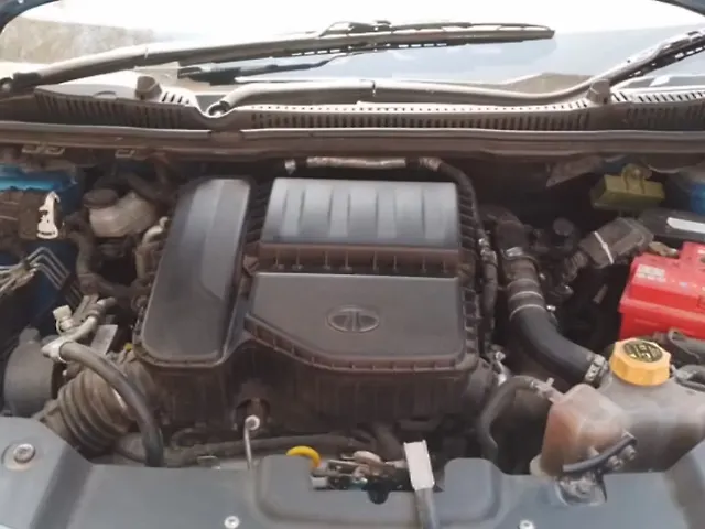 Used Tata Nexon [2017-2020] XM Diesel in Patna
