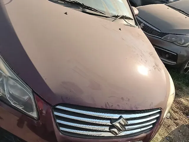 Used Maruti Suzuki Ciaz [2017-2018] Alpha 1.4 AT in Raipur