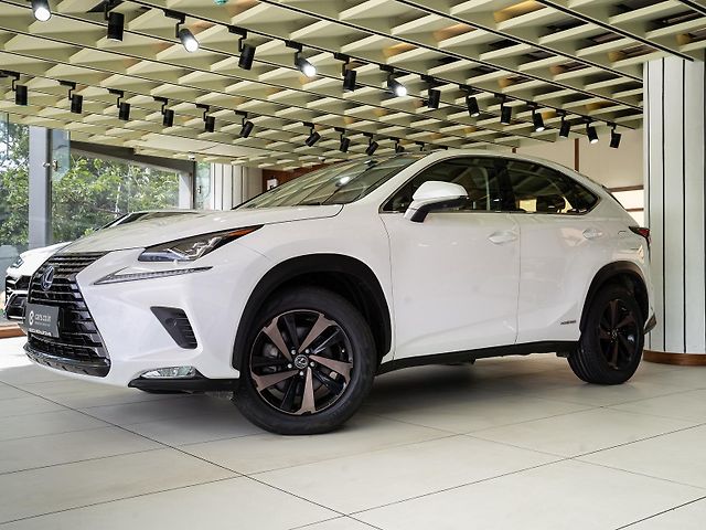 Used 2018 Lexus NX in Mumbai