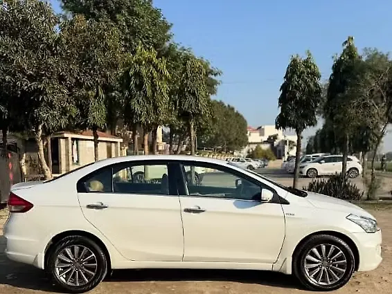 Used Maruti Suzuki Ciaz [2014-2017] ZDi (O) [2014-2015] in Jalandhar