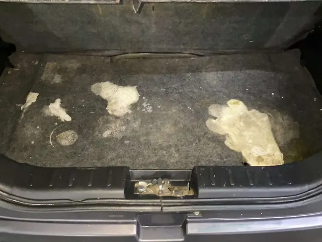 Used Maruti Suzuki Alto 800 Vxi Plus in Chandigarh