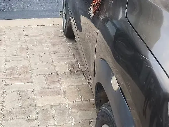 Used Renault Kwid [2015-2019] RXL [2015-2019] in Patna