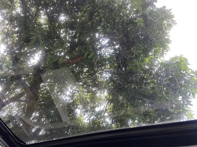 Used Hyundai Creta [2017-2018] SX Plus 1.6  Petrol in Jamshedpur