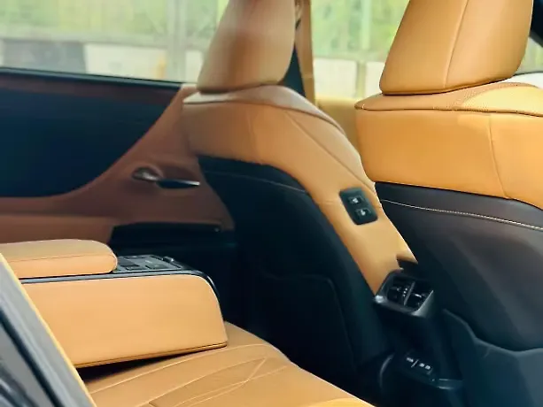 Used Lexus ES 300h Luxury in Delhi