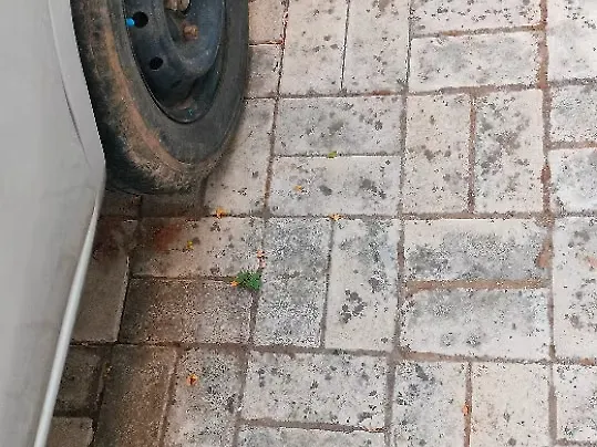 Used Maruti Suzuki Alto 800 [2012-2016] Lxi in Ranchi