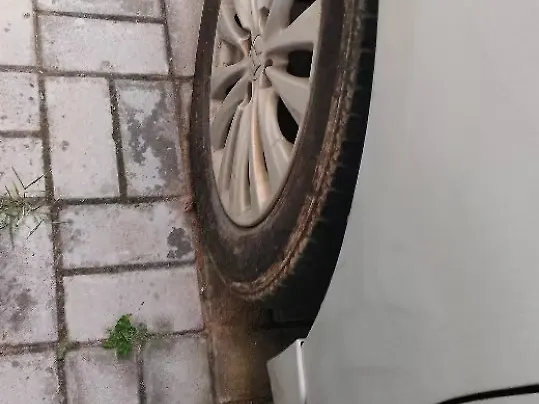 Used Maruti Suzuki Ciaz [2014-2017] ZXi in Ranchi