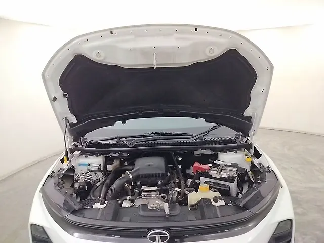 Used Tata Nexon Creative Plus (S) 1.2 Petrol 7DCA [2023-2025] in Coimbatore