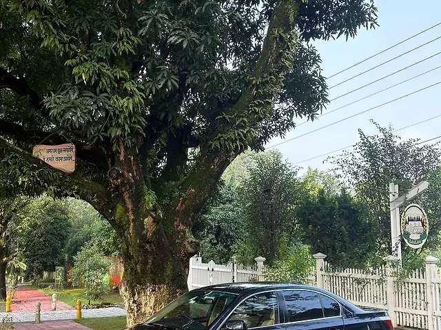 Used BMW 5 Series [2007-2010] 523i Sedan in Dehradun