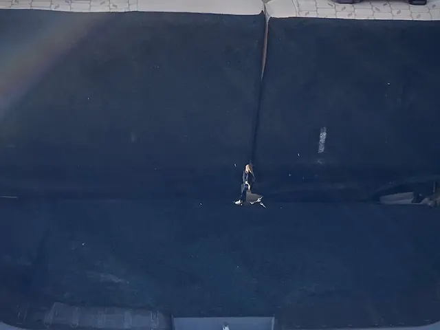 Used Maruti Suzuki Wagon R 1.0 [2014-2019] VXI in Surat