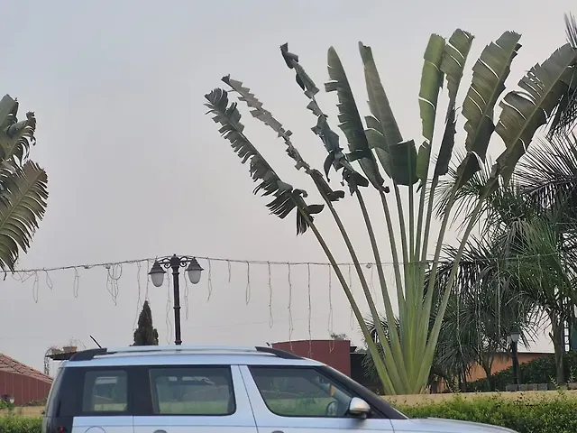 Used Skoda Yeti [2010-2014] Active 2.0 TDI CR 4x2 in Surat