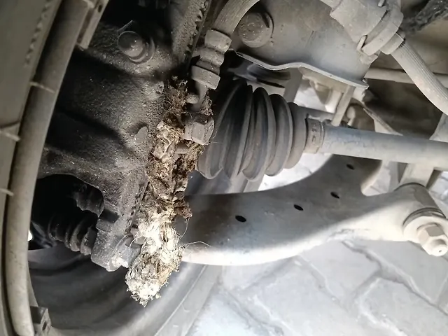 Used Tata Tiago XT [2023-2025] in Panipat