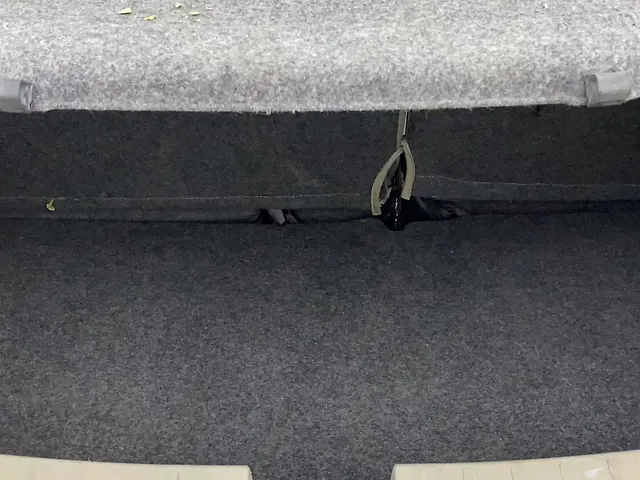 Used Maruti Suzuki Celerio [2017-2021] ZXi in Delhi