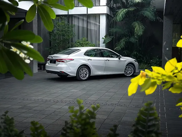 Used Toyota Camry [2019-2022] Hybrid in Malappuram