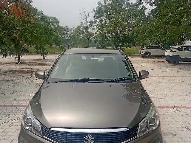 Used 2019 Maruti Suzuki Ciaz in Ludhiana