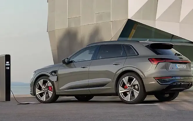 Audi Q8 Sportback e-tron Rear Left View