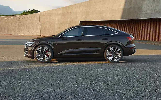 Audi Q8 Sportback e-tron Left View