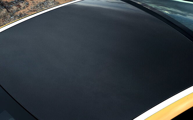 Lexus LC 500h Roof